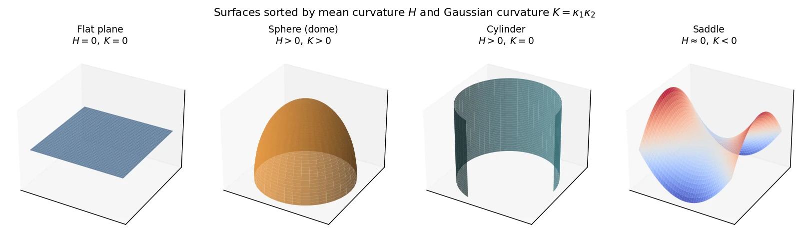 Four canonical surfaces: flat plane, sphere dome, cylinder, saddle, labelled by mean and Gaussian curvature